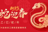 辭舊迎新，蛇舞華章丨深圳容金科技全體員工祝您新春快樂！
