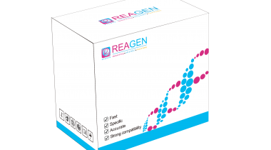 馬、驢源性恒溫核酸檢測試劑盒